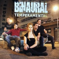 Temperamental (feat. Binaural) - Gabriel Araújo