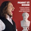 Florian Sempey Il barbiere di Siviglia: Aria. Largo al factotum (Figaro) Rossini: Figaro? Sì!