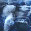 LES NUAGES DANSENT/COEUR - Single