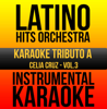 Instrumental Karaoke Series: Celia Cruz, Vol. 3 (Karaoke Version) - Latino Hits Orchestra