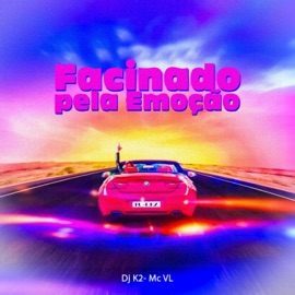 FACINADO PELA EMOÇÃO MC VL & DJ K2