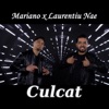 Culcat (feat. Laurentiu Nae) - Single