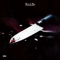 knife (feat. 4evaPj) - Single - BloccBoiJay