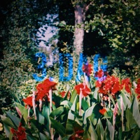 3. Dag - Single - Lord Siva