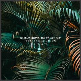 Stay (feat. Lydia Grigg) Sam Macdonald & Daniel Lev
