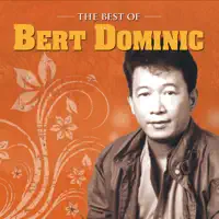 Minsan — Bert Dominic