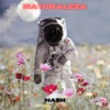 Naturaleza - Single