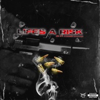 Life's a Risk (feat. Insane Kastro) [Remix] - Single - Jc