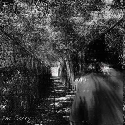 Im Sorry - Single
