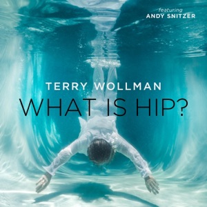What Is Hip? (feat. Andy Snitzer) - Single