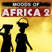 Moods of Africa, Vol. 2 - Verschiedene Interpreten