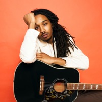 White Lies - Single - Pbenz