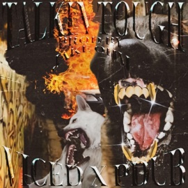 TALKIN TOUGH (feat. PDub & Jake OHM) VICED