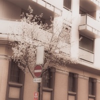 Time Flies - wstdtime