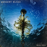 Ambient Blues (feat. Pile of Strings, Adar Alfandari & Sensory Meditation) - Single - Nina Nalo