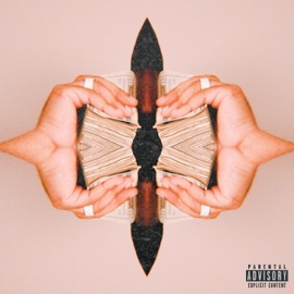 LIZZO (feat. Rashad Stark, Looney Superb & D'laney) 6ixrings