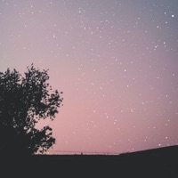 Disappointed - Single - Karoshiwastaken