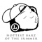 Hottest Barz of the Summer - LA Dub Z lyrics