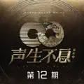 如果爱忘了《声生不息家年华》