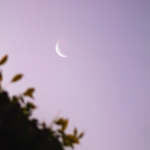 I Watch the Moon