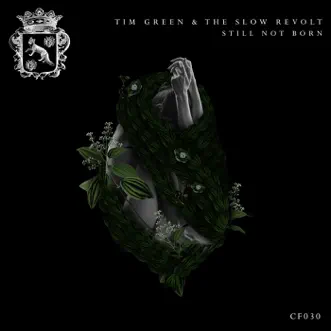 Still Not Born (Club Mix) by Tim Green & The Slow Revolt song reviws