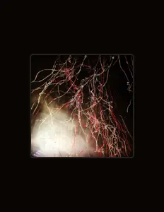 Faltering Skies을(를) 듣고, 뮤직 비디오를 보고, 약력을 읽고, 투어 일정 등을 확인하세요!