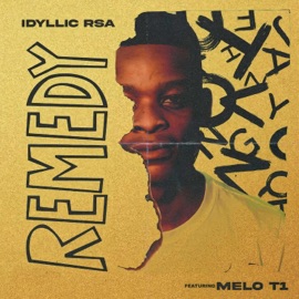 Remedy (feat. Melo_T1) idyllic_Rsa