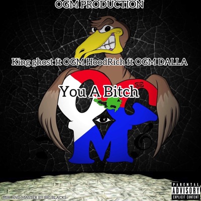 You a Bitch - Single