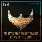 Lying In the Sun (feat. Bright Sparks) artwork