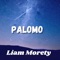 Palomo - Liam Morety lyrics