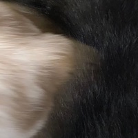 Superbad - Single - Ylti