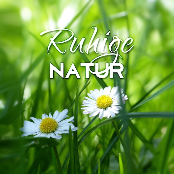 Ruhige Natur - New Age, Friedliche Musik, Ambient, Yoga, Meditation, Entspannung, Hintergrundmusik, Innere Ruhe