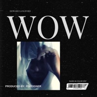 Wow/The anthem (Solo version) - Single - Howard Langford