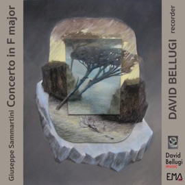 Concerto a più Istrumenti per la Fluta in F Major: II. Siciliana Krasnoyarsk Chamber Orchestra, Mikhail Beniumov & David Bellugi