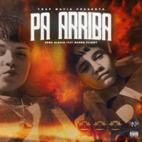 Pa Arriba (feat. Seba Alexis) - Single - NvshoFlight