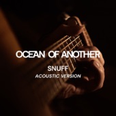 Snuff (Acoustic Version) artwork
