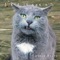 I Did It Again - Tetsuya Okuda lyrics
