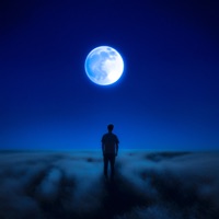 Dreamland - Single - SHXRK