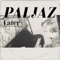 Kampvuur - Paljaz lyrics