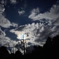 ##B4llw - EP - Wocki