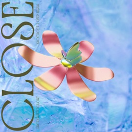 Close Deep Harks & Knockout