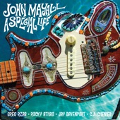 A Special Life (feat. Greg Rzab, Rocky Athas, Jay Davenport & C.J. Chenier) artwork