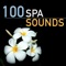 Buddha's Eyes - Nature Sounds Spa Therapy lyrics