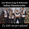 Cu totii ne-am adunat (feat. Baboiash & Iulian Dumitrache) - Single