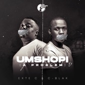 Umshophi (A Problem) artwork