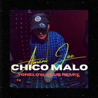 CHICO MALO (feat. TONELOW) [CLUB REMIX] - Single - Amani Jae