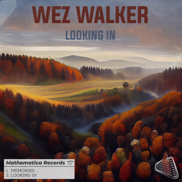 Looking In - Single