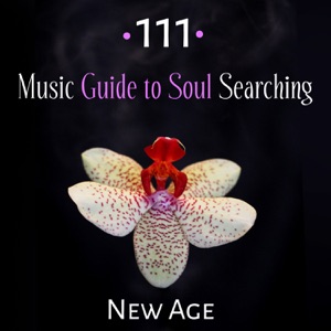 111 Music Guide to Soul Searching - New Age, Balance Energy, Find Peace, Yoga Practice, Spirit Calmness, Wonderful Meditation