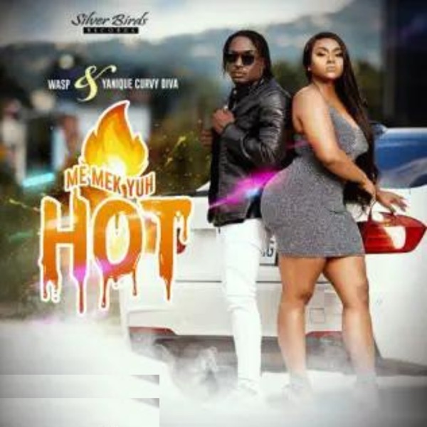 Me Mek Yuh Hot - Single