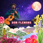 Dom Flemons - Rabbit Foot Rag